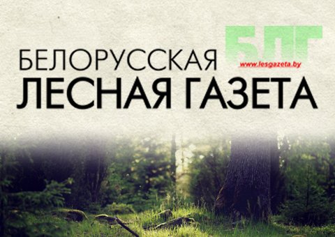 Белорусская лесная газета